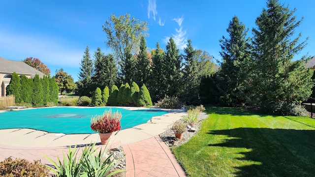 view of swimming pool featuring a covered pool, a lawn, a patio, and a diving board