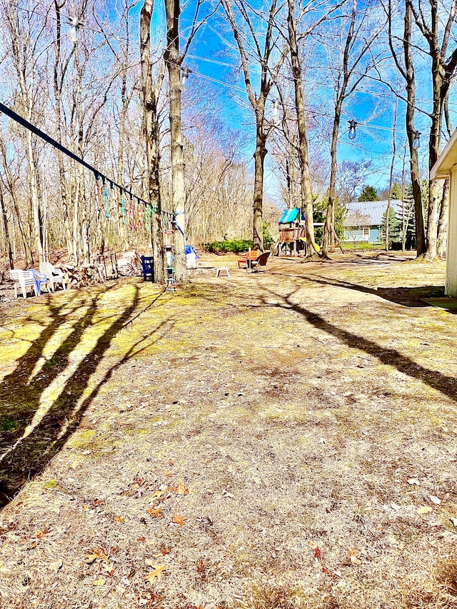 view of yard featuring a playground