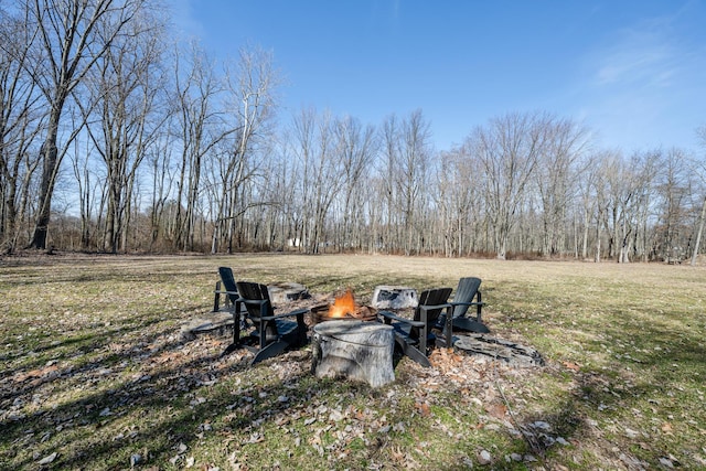 view of yard with an outdoor fire pit