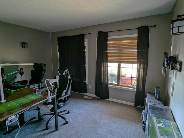 674 Booth Rd, Bronson, MI 49028 - carpeted office featuring a textured ceiling, baseboards, and visible vents