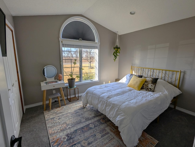 674 Booth Rd, Bronson, MI 49028 - bedroom featuring a textured ceiling, carpet floors, baseboards, and lofted ceiling