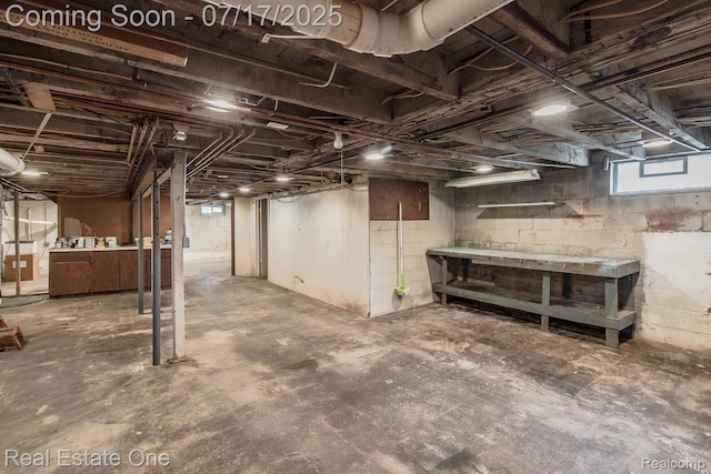 727 Romeo Rd, Rochester, MI 48307 - below grade area with a workshop area