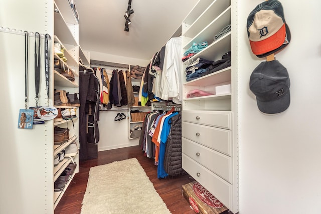spacious closet with wood finished floors