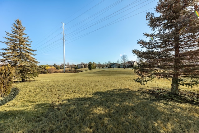 view of yard
