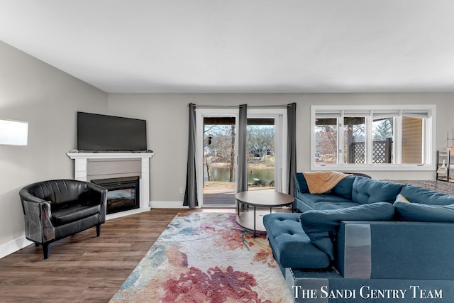 living area featuring a glass covered fireplace, baseboards, and wood finished floors