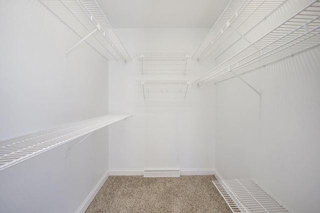 spacious closet with visible vents and carpet floors