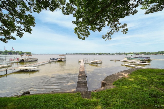 4276 Echo Cv, Manitou Beach, MI 49253 - photo 43