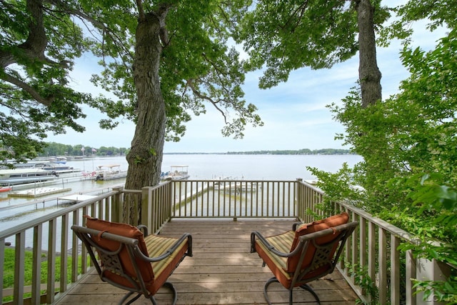 4276 Echo Cv, Manitou Beach, MI 49253 - photo 48