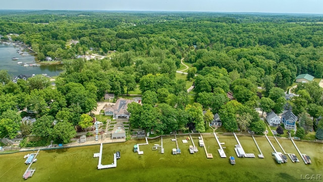 4276 Echo Cv, Manitou Beach, MI 49253 - photo 56