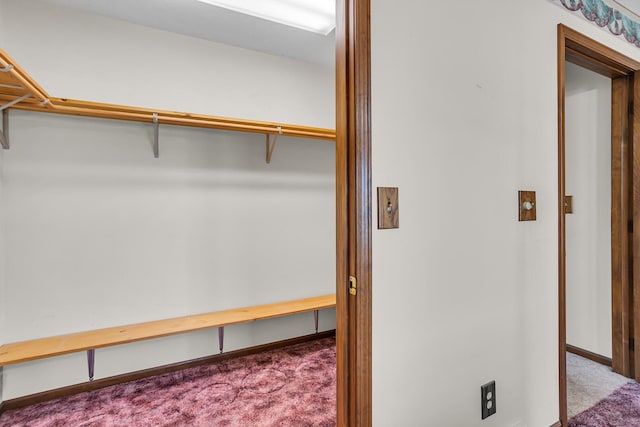 spacious closet featuring carpet floors