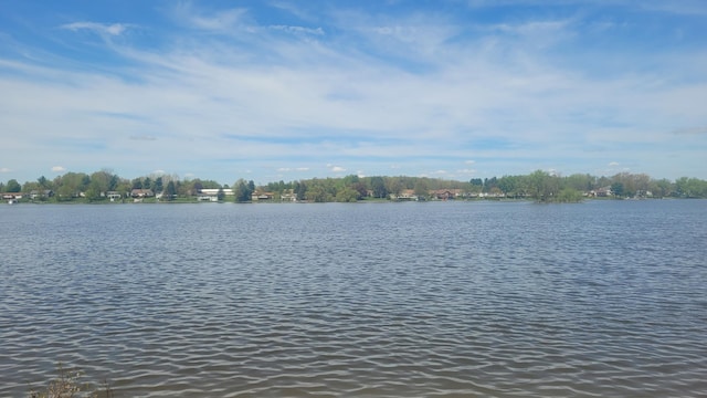 4210 Dawn Dr, Hillsdale, MI 49242 - water view