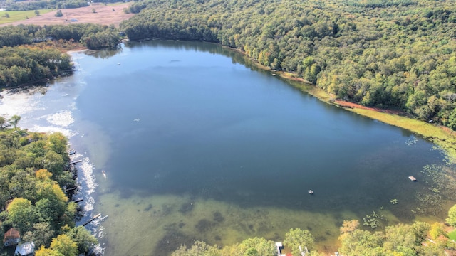 bird's eye view featuring a water view and a wooded view