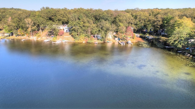 birds eye view of property with a wooded view and a water view