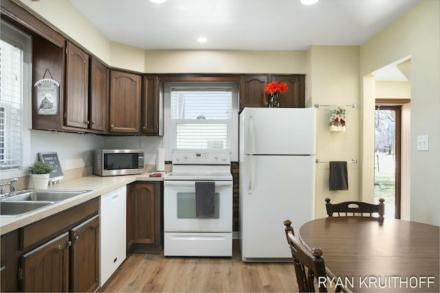 kitchen with dark brown cabinetry, light countertops, light wood-style floors, white appliances, and a sink