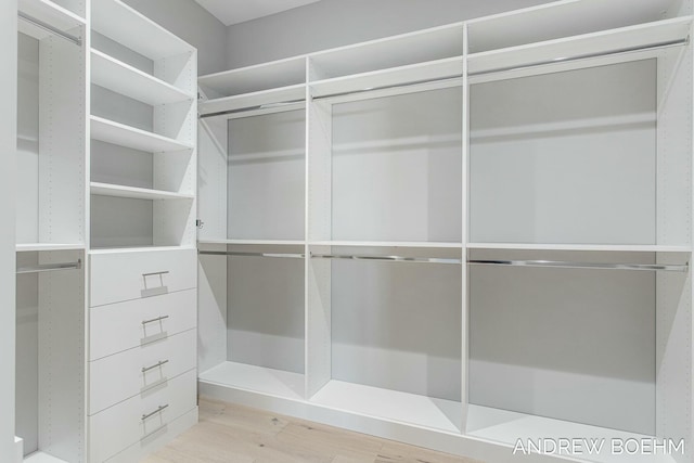 walk in closet with light wood finished floors