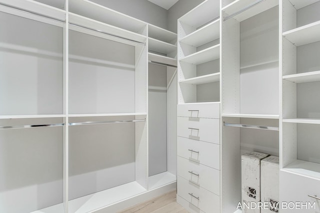 walk in closet featuring light wood-style floors