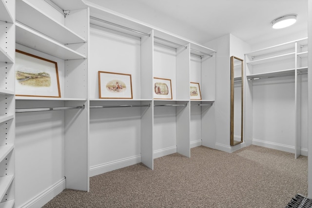 walk in closet with carpet floors