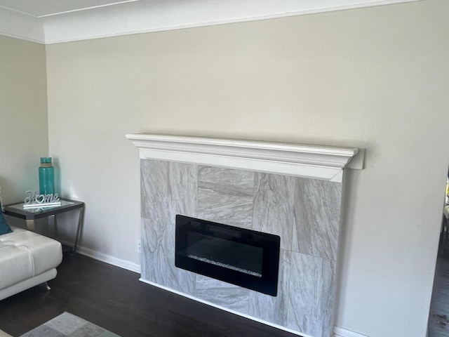 details with a glass covered fireplace, baseboards, and wood finished floors