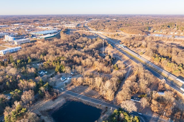 drone / aerial view