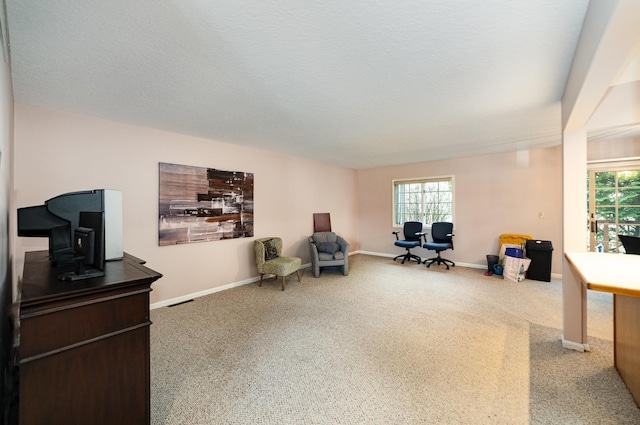 living area featuring carpet, baseboards, and a wealth of natural light