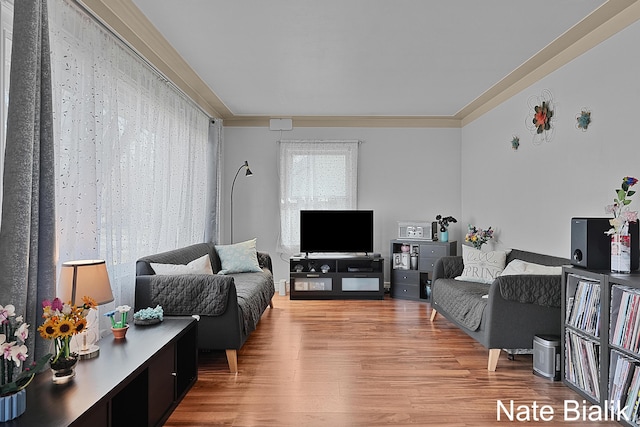 living room featuring light wood-type flooring and ornamental molding