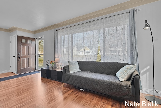 living area with baseboards, wood finished floors, and ornamental molding