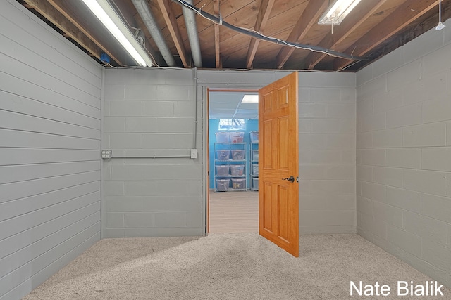 basement with carpet floors