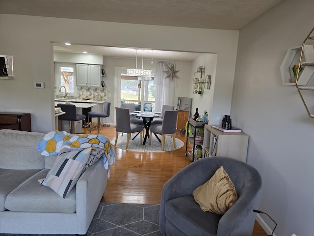 living room featuring wood finished floors