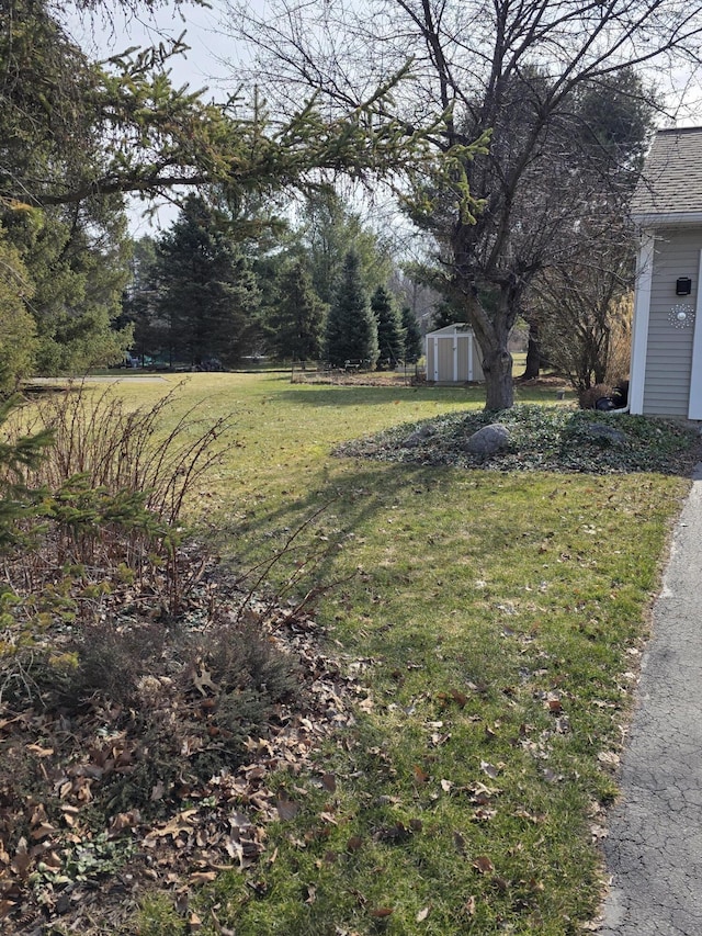 view of yard with a storage unit and an outbuilding