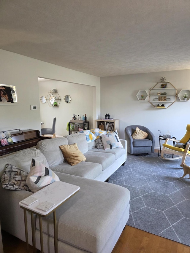 living area featuring wood finished floors and a textured ceiling