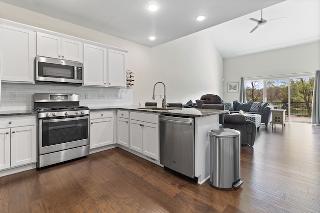 kitchen with a sink, open floor plan, a peninsula, stainless steel appliances, and dark wood-style flooring