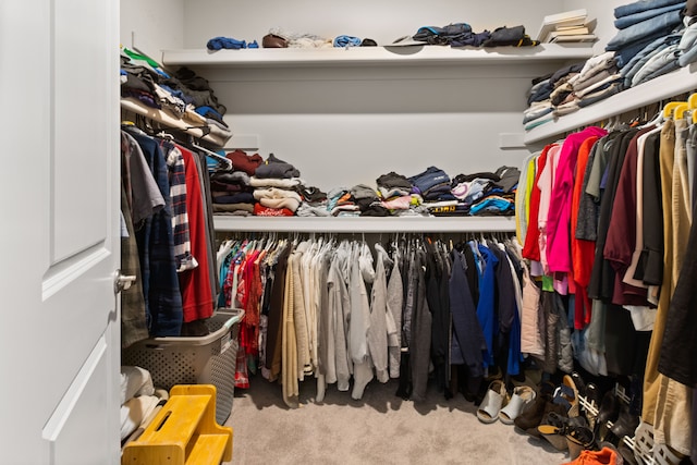 walk in closet featuring carpet