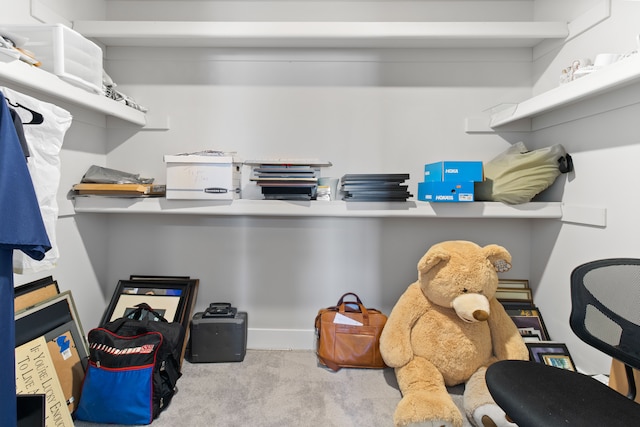 spacious closet featuring carpet floors