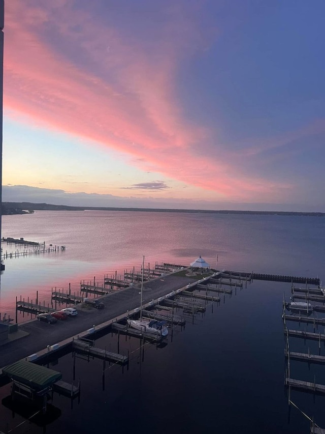 property view of water with a boat dock