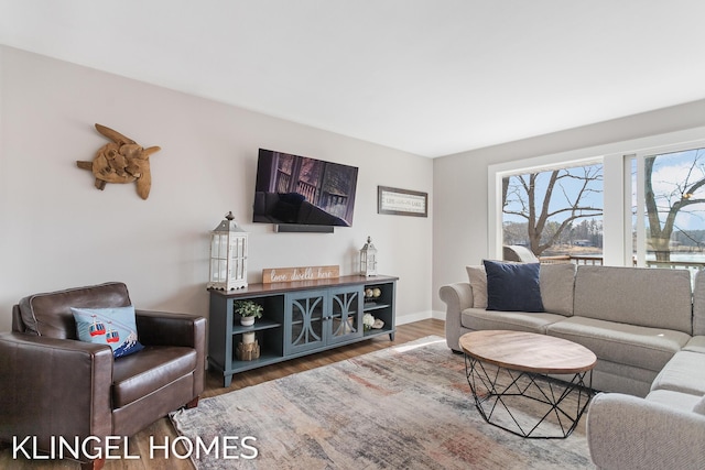 living room featuring baseboards and wood finished floors