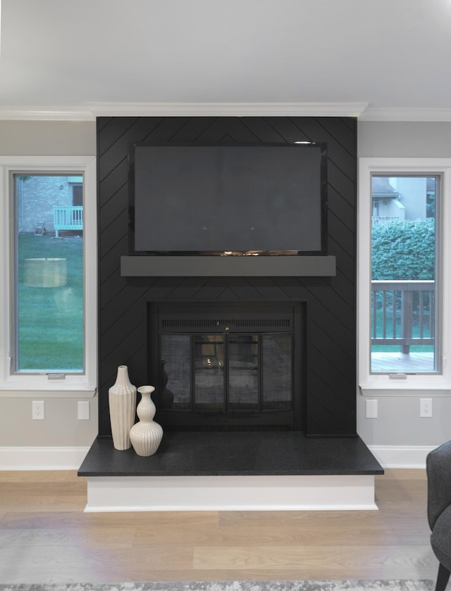 details featuring a large fireplace, wood finished floors, and crown molding