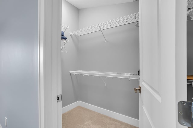 walk in closet with carpet