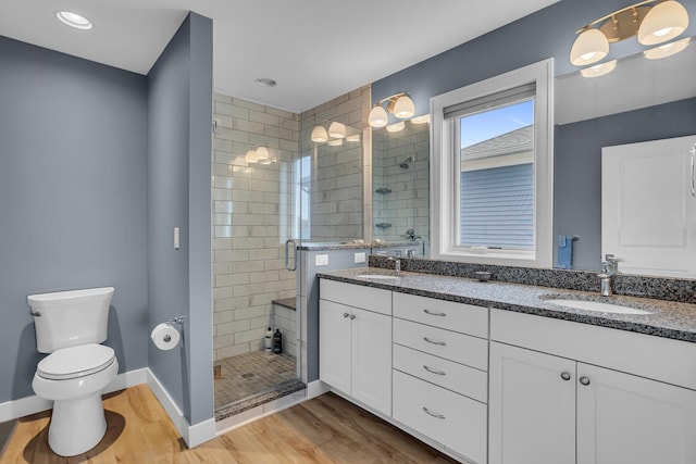 bathroom featuring a sink, double vanity, wood finished floors, and a shower stall