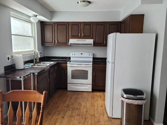 kitchen with white appliances, light wood-style flooring, a sink, dark countertops, and exhaust hood