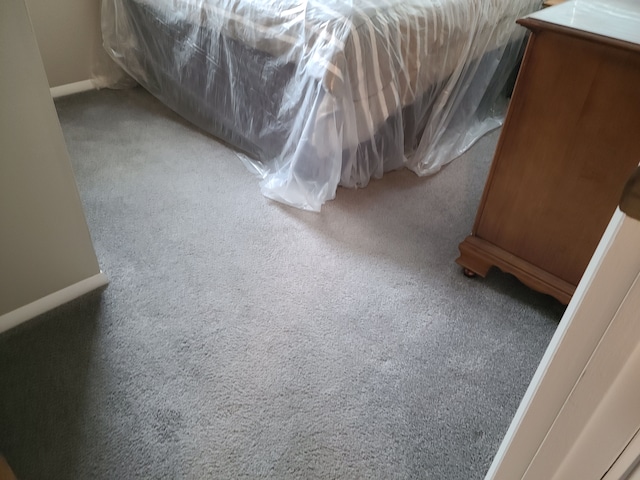 bedroom featuring baseboards and carpet floors