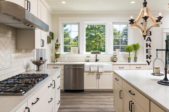 kitchen featuring under cabinet range hood, wood finished floors, stainless steel appliances, crown molding, and light stone countertops