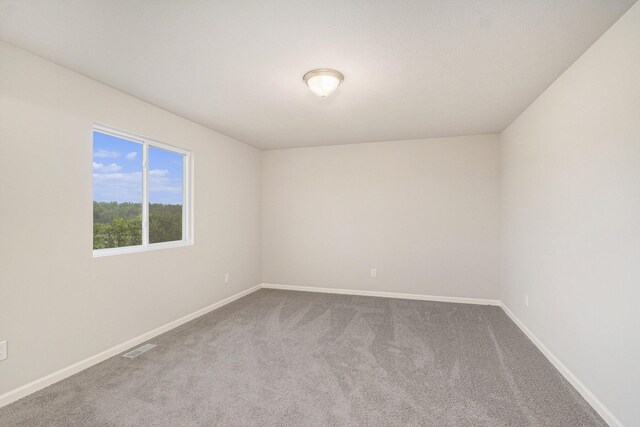 8712 E Sturtevant Ave, Richland, MI 49083 - photo 11