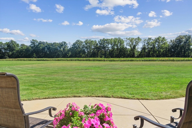2122 Grange Rd, Buchanan, MI 49107 - view of grassy yard featuring a view of rural / pastoral area