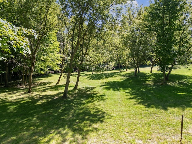 2122 Grange Rd, Buchanan, MI 49107 - view of green lawn