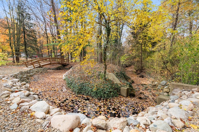 view of yard featuring a forest view