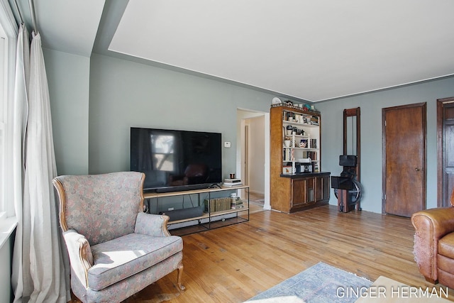 living room featuring wood finished floors