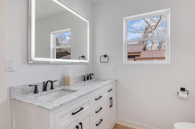 5557 Front St, Newaygo, MI 49337 - bathroom featuring a sink, baseboards, toilet, and double vanity