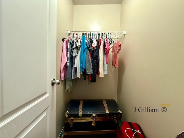 view of closet