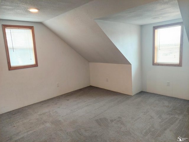 additional living space featuring vaulted ceiling, plenty of natural light, carpet, and a textured ceiling