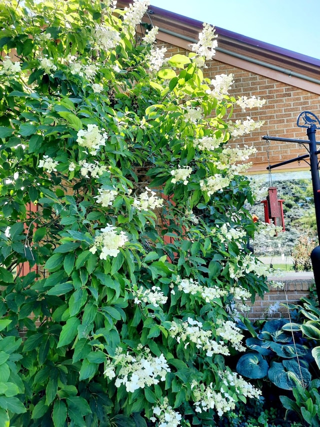 exterior details featuring brick siding